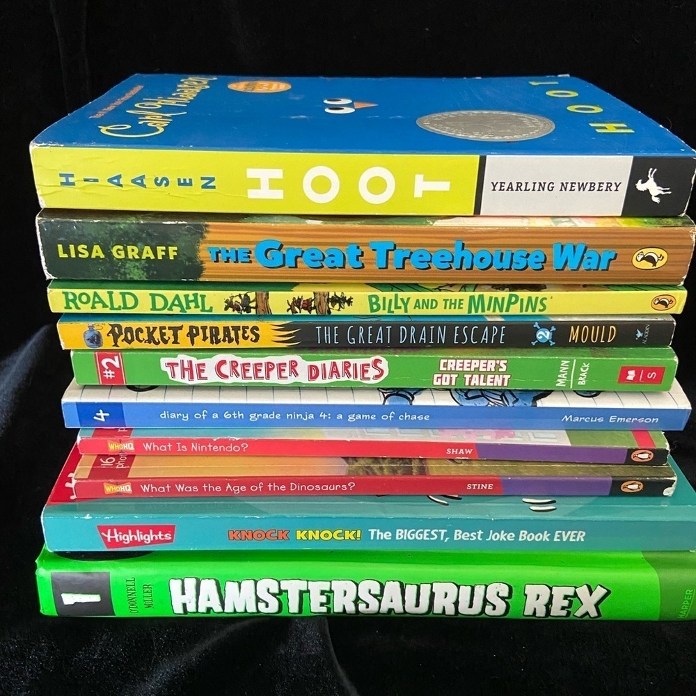🩷 Lot of 10 Youth Kids Reader Books Highlights Graff Dahl